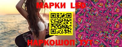 индика Шахты