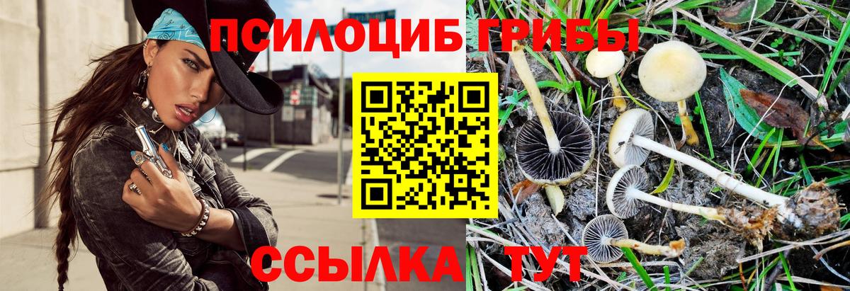 Фрязино  закладка  Вход с VPN  Псилоцибиновые грибы Magic Shrooms 